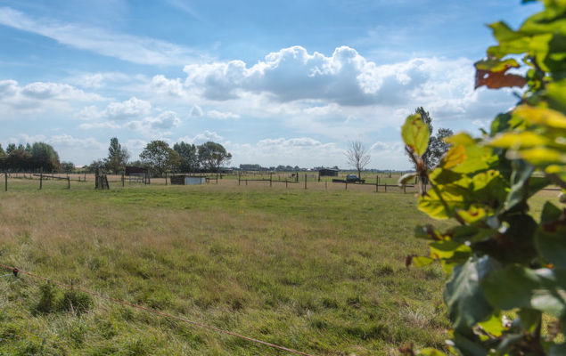 Boonenhove - Photo 10