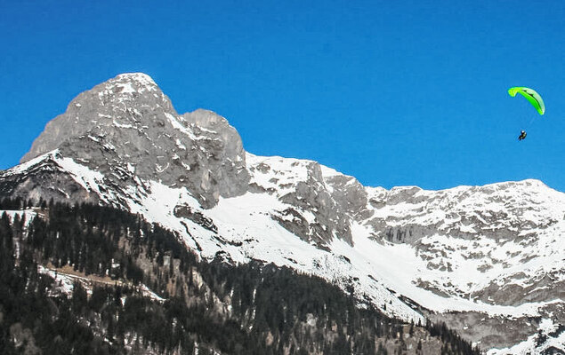 Edelweiss - Photo 26