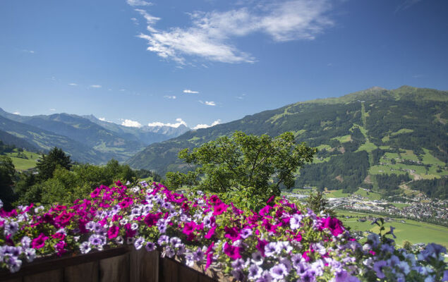 Ferienhof Sonnseitn - Photo 2