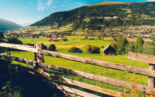 Family Mentenwirt - Photo 21