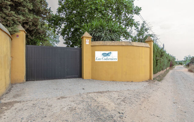 Las Codornices - Photo 50