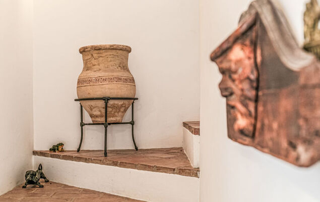 Las Codornices - Photo 58