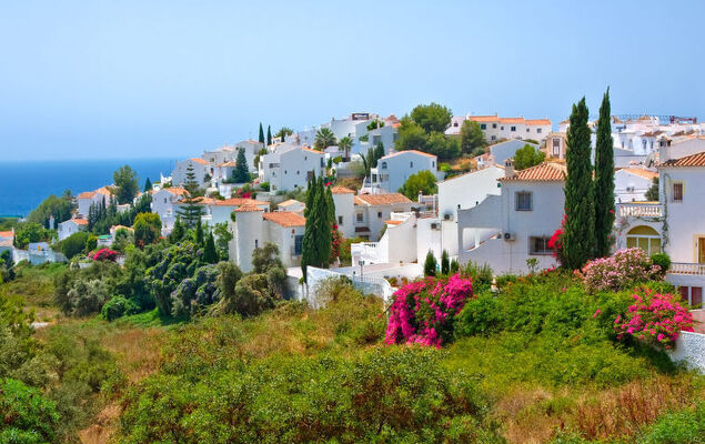 Limoneros - Photo 60