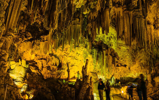 Limoneros - Photo 62