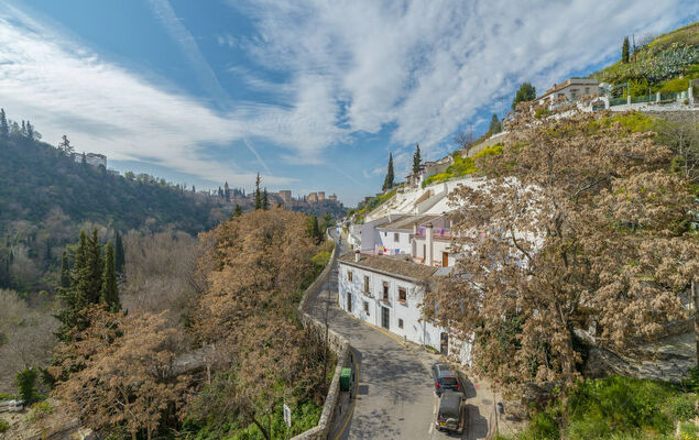 Cueva de Lindaraja - Photo 29