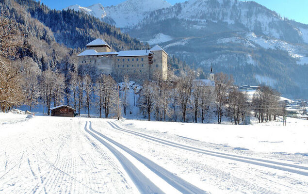 Charlotte/50604-002146-2020 - Photo 42