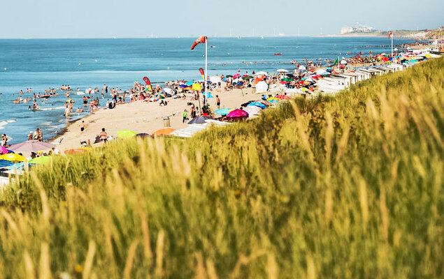 Sea Garden ground floor with garden - Photo 11