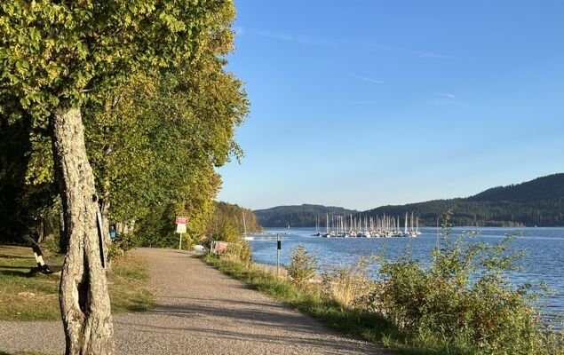 Schöne Aussicht (App 1406 / EX-Kurhotel) - Photo 43